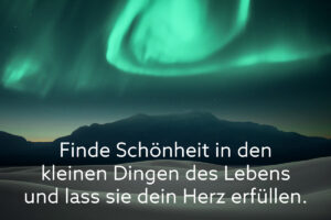 Finde Schönheit in den kleinen Dingen des Lebens und lass sie dein Herz erfüllen.