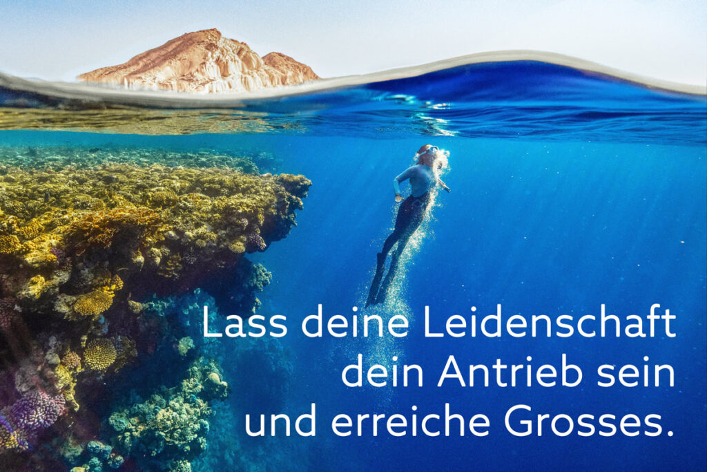 Lass deine Leidenschaft dein Antrieb sein und erreiche Grosses.