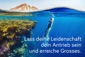 Lass deine Leidenschaft dein Antrieb sein und erreiche Grosses.